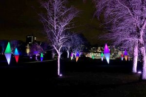 parkleuchten 2019 ntoi 01 essen grugapark