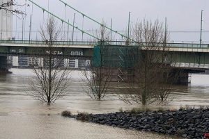 hochwasser koeln ntoi 01 rheinufer