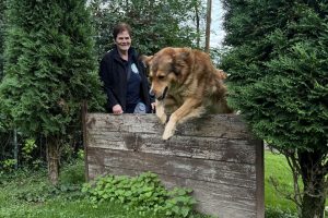 hunde jahrmarkt ntoi 01 hundefreunde schaeferhundeverein bergneustadt